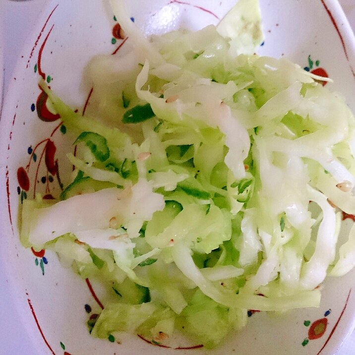 美味しくって簡単野菜の塩揉み